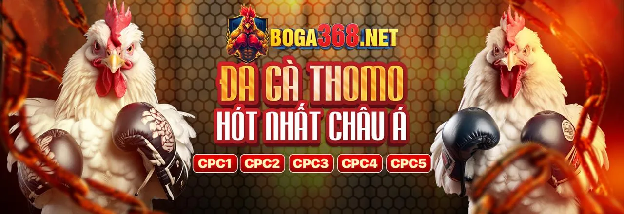 Ưu Đãi và Khuyến Mãi Mới Nhất 5mb